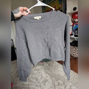 Pacsun Cropped sweater